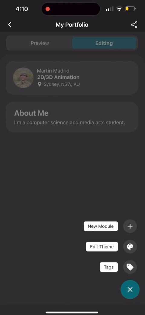 Portfolio Customisation Interface